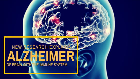 New research explains Alzheimer of brain’s connection with the Immune System.